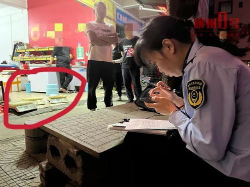 宁波无房户调查取证全攻略：从零开始教你搞定关键笔录