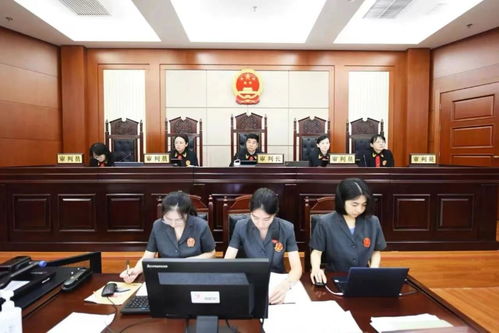 宁波死刑辩护调查取证规定：专业律师教你如何合法高效获取关键证据