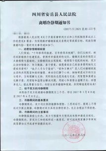 刚帮朋友处理完离婚案，这份宁波民事调查取证申请书太关键了