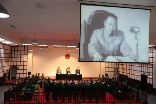 宁波申请法院调查取证全流程解析：从材料准备到成功立案的关键要点
